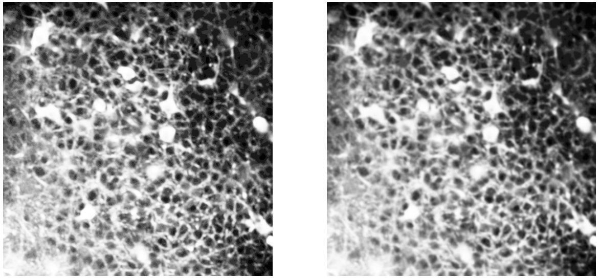 Left: histogram equalization; Right: gaussian smoothing