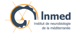 IMNED logo